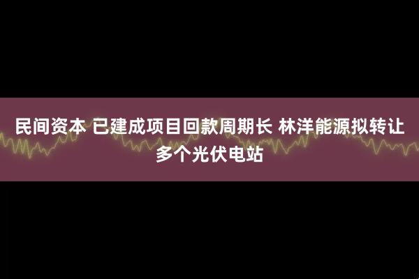 民间资本 已建成项目回款周期长 林洋能源拟转让多个光伏电站