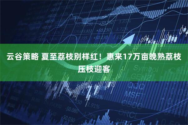 云谷策略 夏至荔枝别样红！惠来17万亩晚熟荔枝压枝迎客