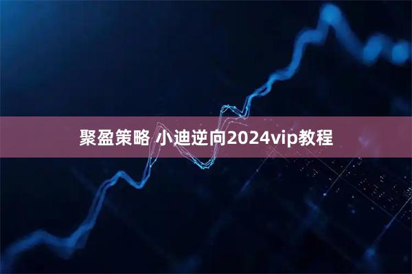 聚盈策略 小迪逆向2024vip教程