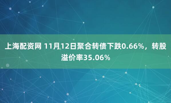 上海配资网 11月12日聚合转债下跌0.66%，转股溢价率35.06%