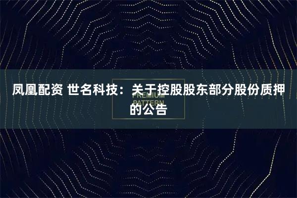 凤凰配资 世名科技：关于控股股东部分股份质押的公告
