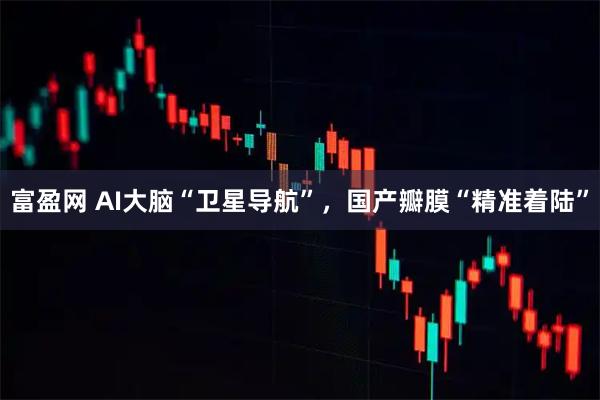 富盈网 AI大脑“卫星导航”，国产瓣膜“精准着陆”